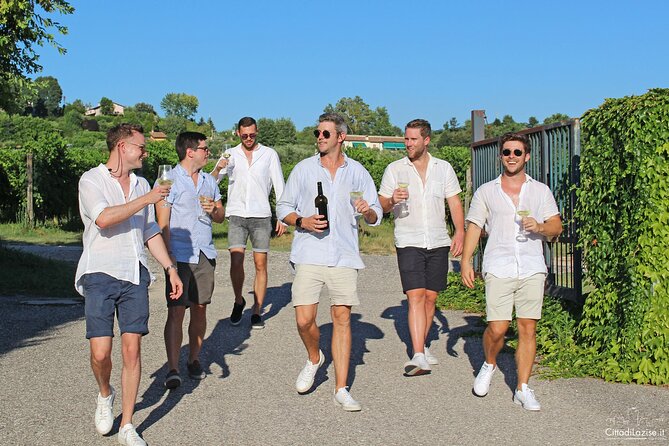 Wine and Food Tasting in the Vineyards in Lazise - Sitting among the vines in good weather