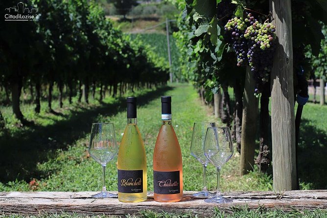 Wine and Food Tasting in the Vineyards in Lazise - Who will enjoy this tasting most?