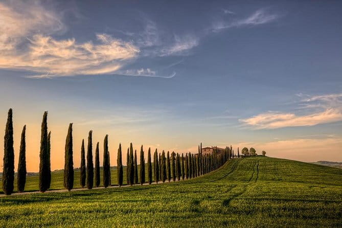 Wine Experience In Chianti Hills from Florence - First winery: vineyard rows, vinegar cellar, and local food