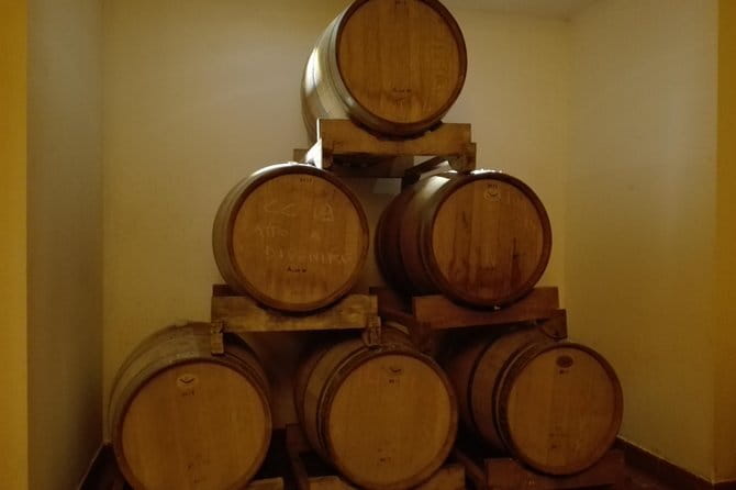 Wine Experience In Chianti Hills from Florence - What you actually taste