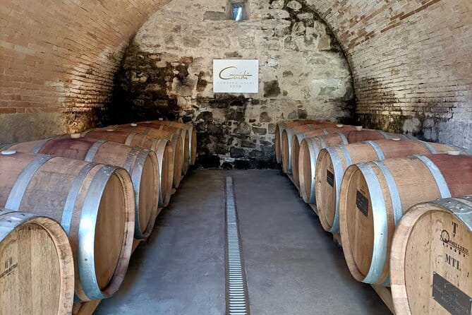 Wine Tasting Experience in Ponte Vecchio: Best Tuscany selection! - Who will enjoy this tasting most