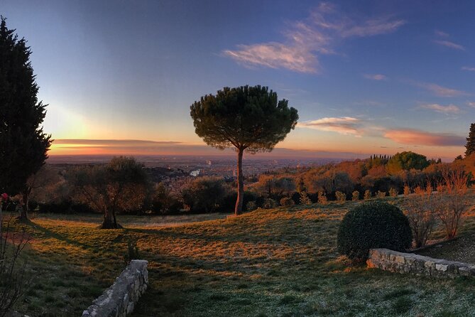 Wine Tasting with Panoramic View of Verona - What happens during the 90 minutes
